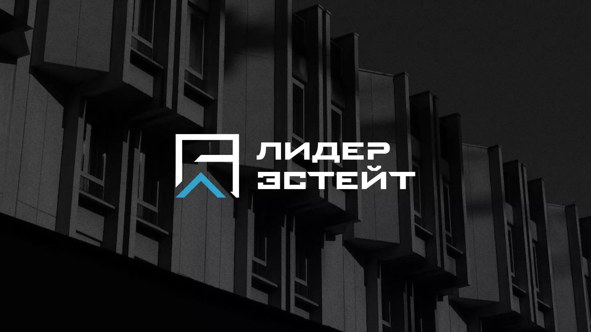 Разработка логотипа агентства недвижимости «Лидер Эстейт» в Саяногорске